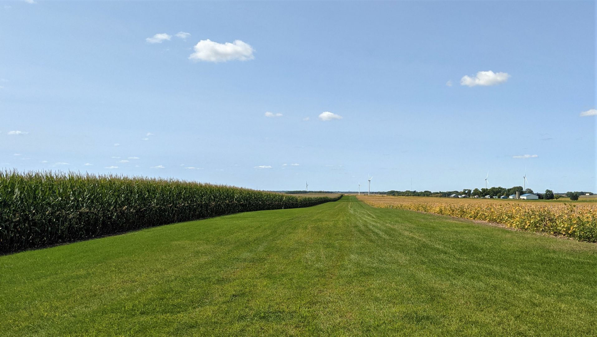 Spotts Heritage Farm - runway